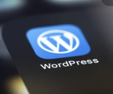 建站资源分享-子比资源网