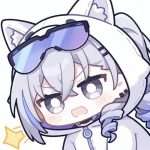 一片叶叶的头像-子比资源网